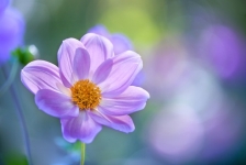 「お問い合わせ電話番号」変更のお知らせ