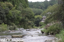 オグショー社員研修日：静岡県浜松市阿多古川鮎友釣りを学ぶ！