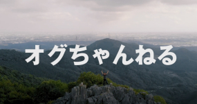 YouTubeオグちゃん企画：2020年オグちゃんまとめ！！