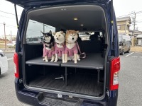 キャラバンを1日コースで“ワンちゃんと快適に過ごせる一台”へカスタム